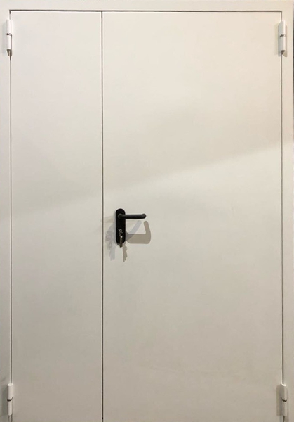 Полуторные противопожарные глухие двери RAL 7035 Полуторная глухая противопожарная дверь EI 60 RAL 7035 (02)