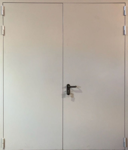 Внешняя сторона Двупольная дымогазонепроницаемая дверь EIS 60 RAL 7040 (09)