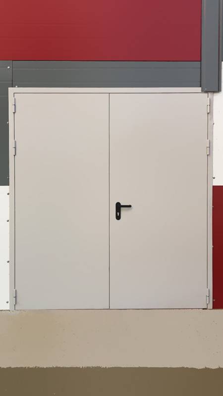 Двупольная дверь (р-н Митино, ул. Барышиха, д.49) Двупольная дверь (р-н Митино, ул. Барышиха, д.49)