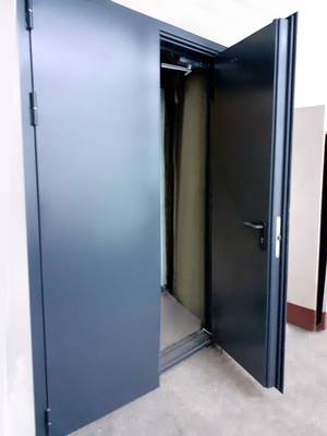 Фото двупольной двери (АО «ММП имени В.В. Чернышева») Фото двупольной двери (АО «ММП имени В.В. Чернышева»)