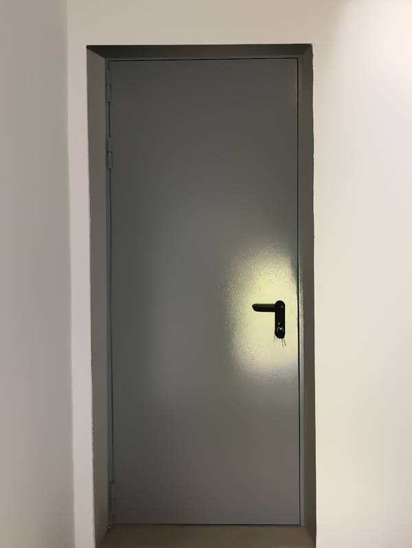 Глухая одностворчатая дверь (пансионат, пос. Огниково, д.19) Глухая одностворчатая дверь (пансионат, пос. Огниково, д.19)