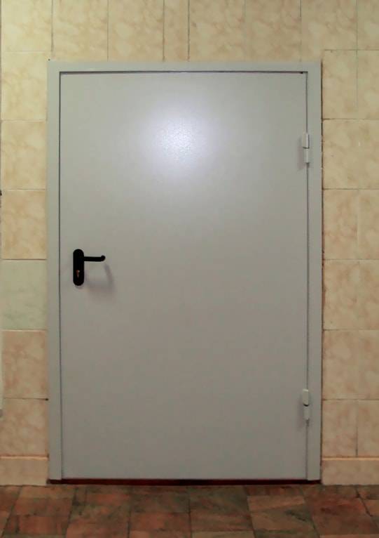 Нестандартная противопожарная дверь Нестандартная противопожарная дверь