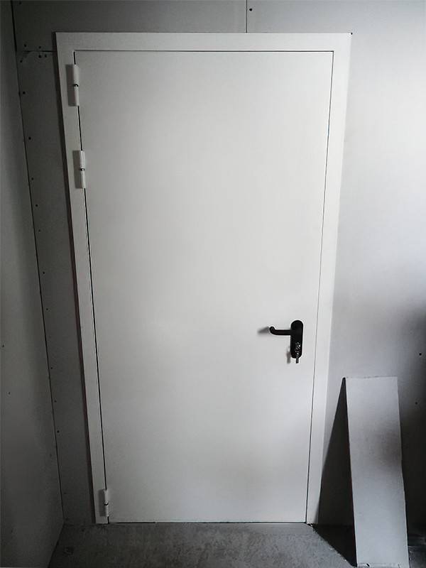 Однопольная дверь в помещении (г. Ногинск) Однопольная дверь в помещении (г. Ногинск)