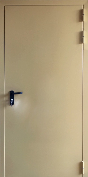 Однопольная глухая дверь Однопольная глухая противопожарная дверь EI 60 RAL 1000 (с откидным порогом) (18)