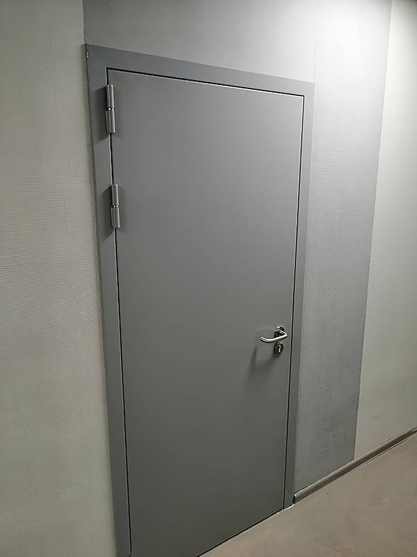 Передняя сторона однопольной двери (ММП им. В. В. Чернышёва) Передняя сторона однопольной двери (ММП им. В. В. Чернышёва)