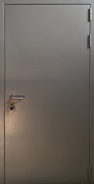 Противопожарная дверь с 3 петлями Однопольная глухая противопожарная дверь EI 60 RAL 7042 с системой СКУД (22)