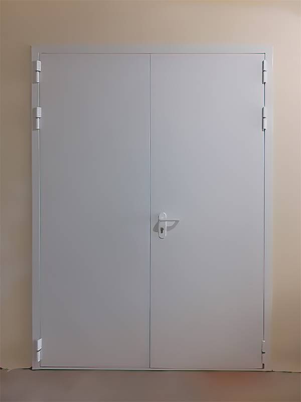 Равностворчатая дверь (ул. 3-я Черепковская) Равностворчатая дверь (ул. 3-я Черепковская)