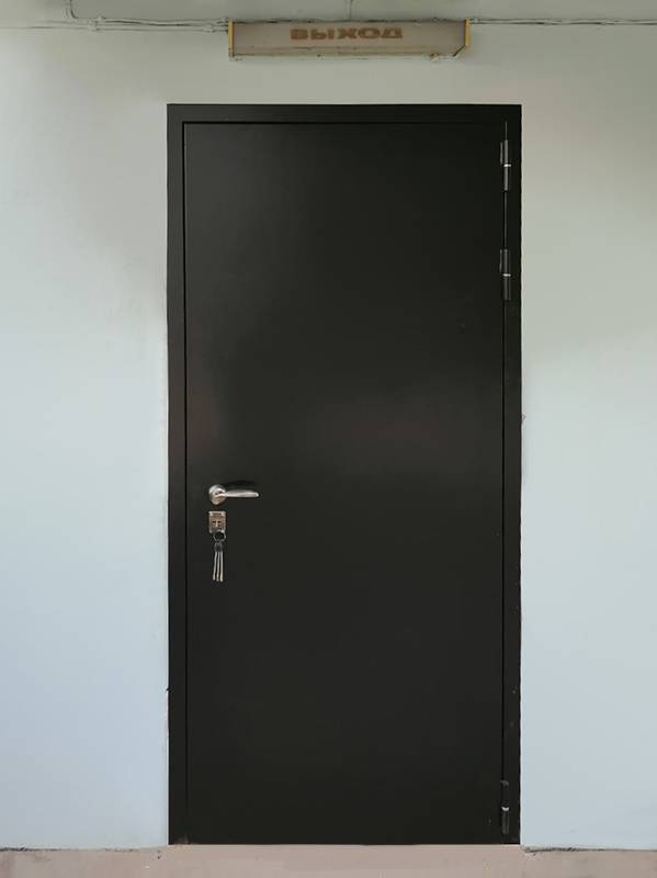 Техническая дверь на входе в гостиницу (пер. Глазовский, 9) Техническая дверь на входе в гостиницу (пер. Глазовский, 9)
